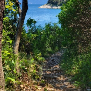 Wanderweg