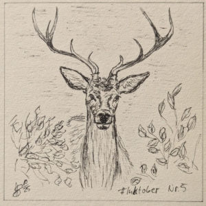 05 – Deer