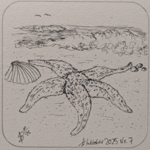 07 – Starfish