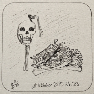28 – Skeletal