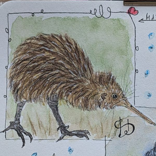 Tag 49 Kiwi
