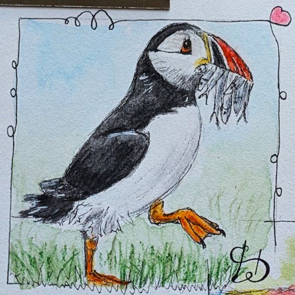 Tag 51 Papageientaucher