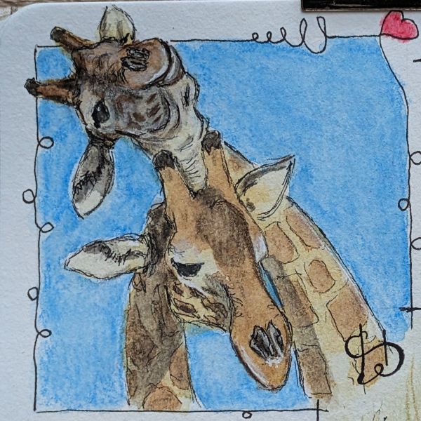 Tag 53 Giraffen