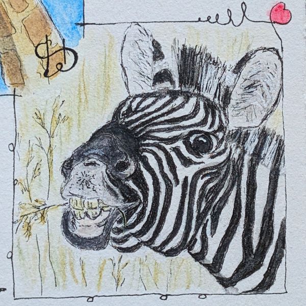 Tag 54 Zebra