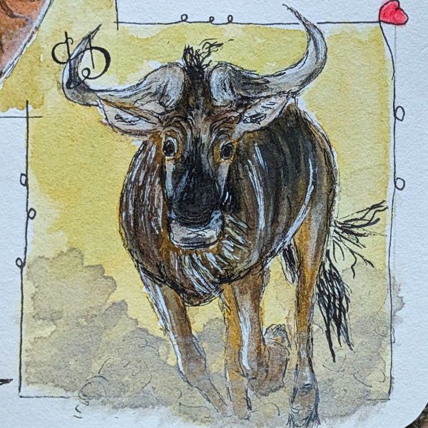 Tag 56 Gnu