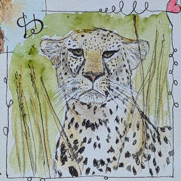 Tag 60 Leopard
