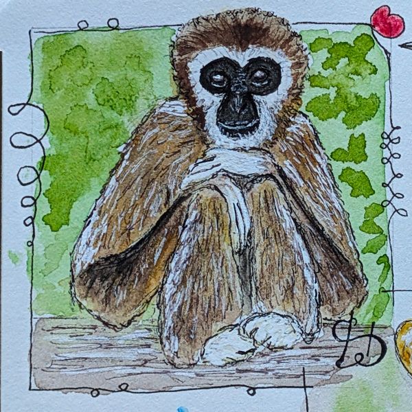 Tag 65 Gibbon